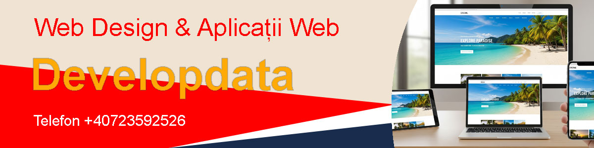 Web design Developdata Timisoara